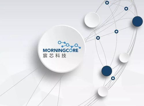 西海岸數字經濟產業新篇章 300余家企業匯聚，技術開發引領未來